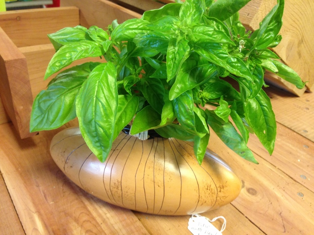 Spring water farms Basil